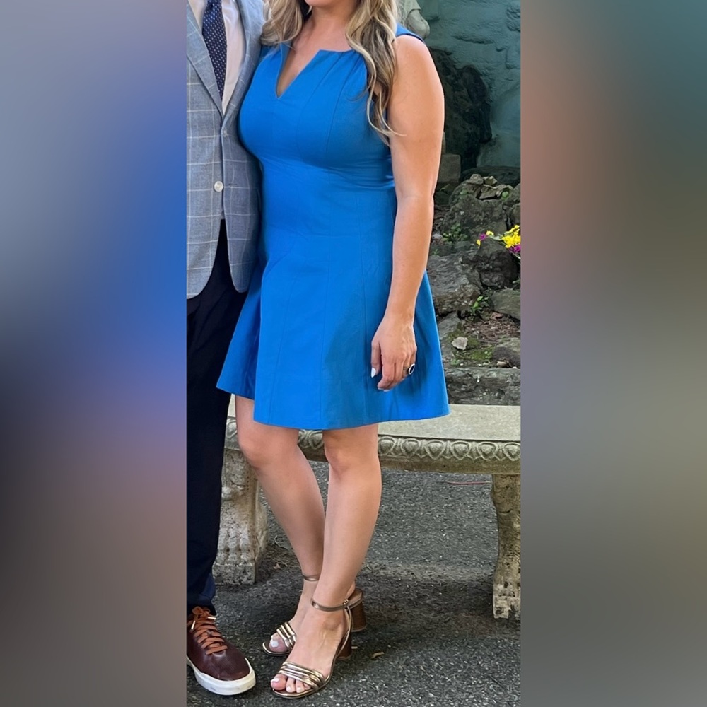 Sleeveless Paneled Flare Dress - BLUE